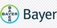 bayer logo min